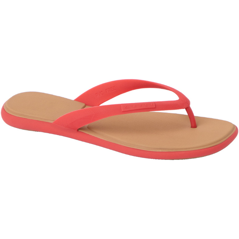 2026 Reef Da Donna Water Willow Malibu Sandals CJ8643 - Hibiscus